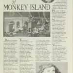 4- The Secret of Monkey Island str.1
