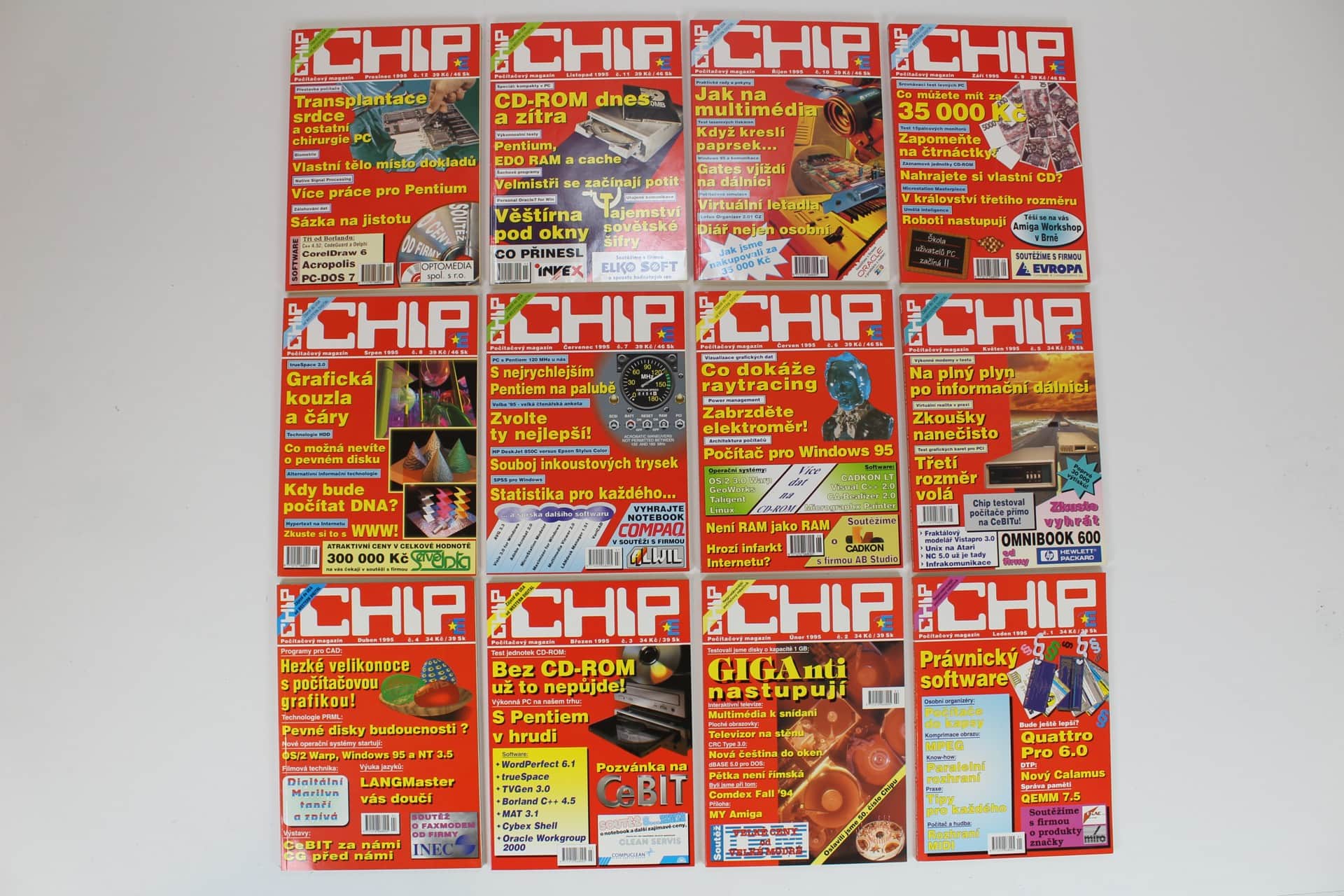 Chip 1995